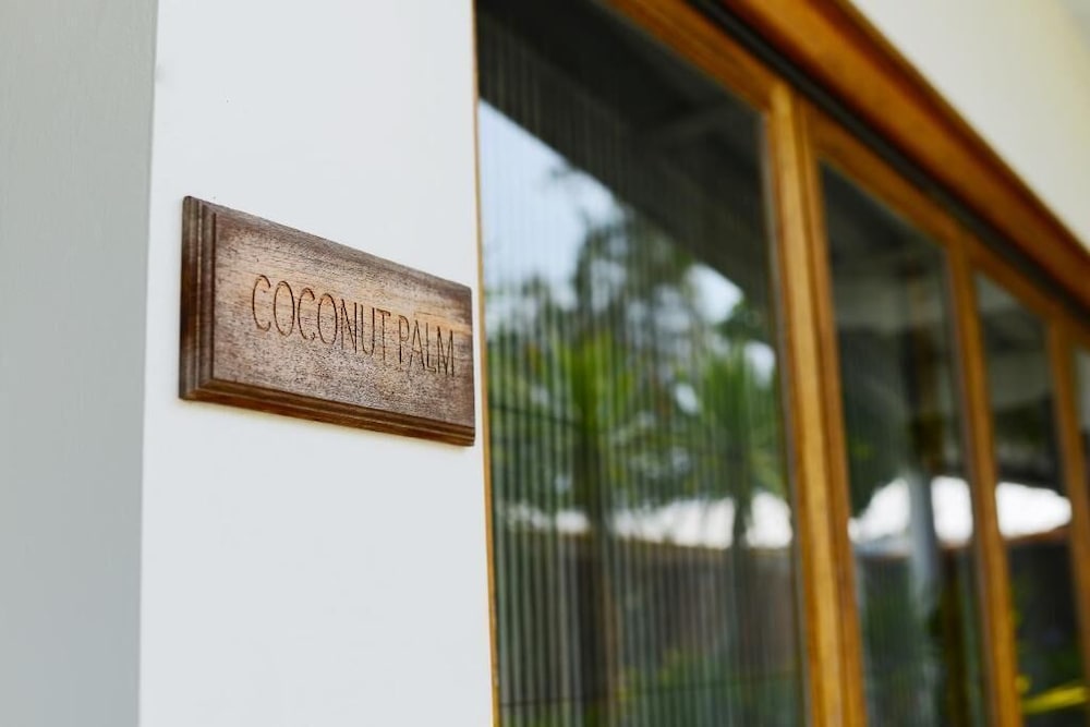 Coconut Palm - Seaview photo 2