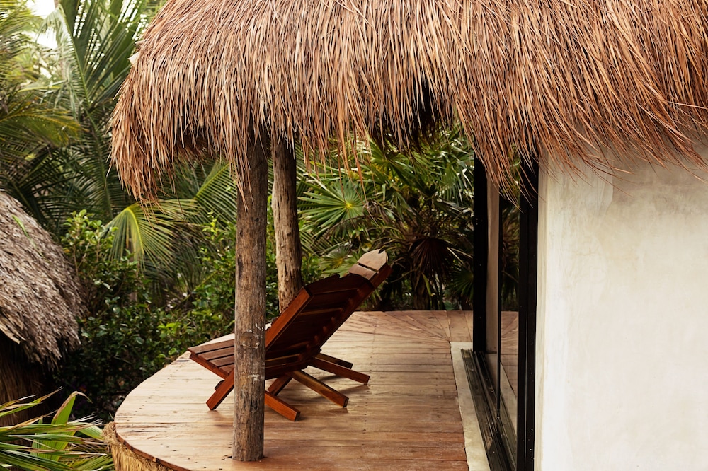 Casita Jungle Rooftop Pool - Photo 5