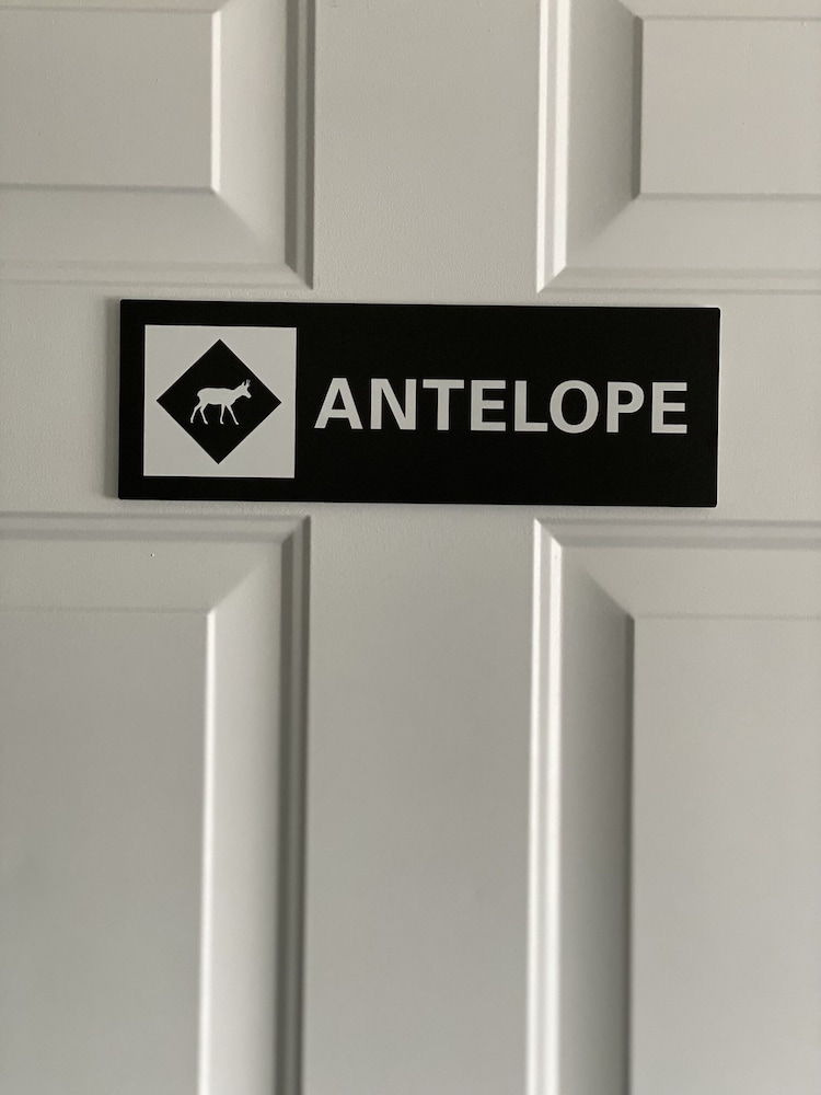 Antelope photo 3