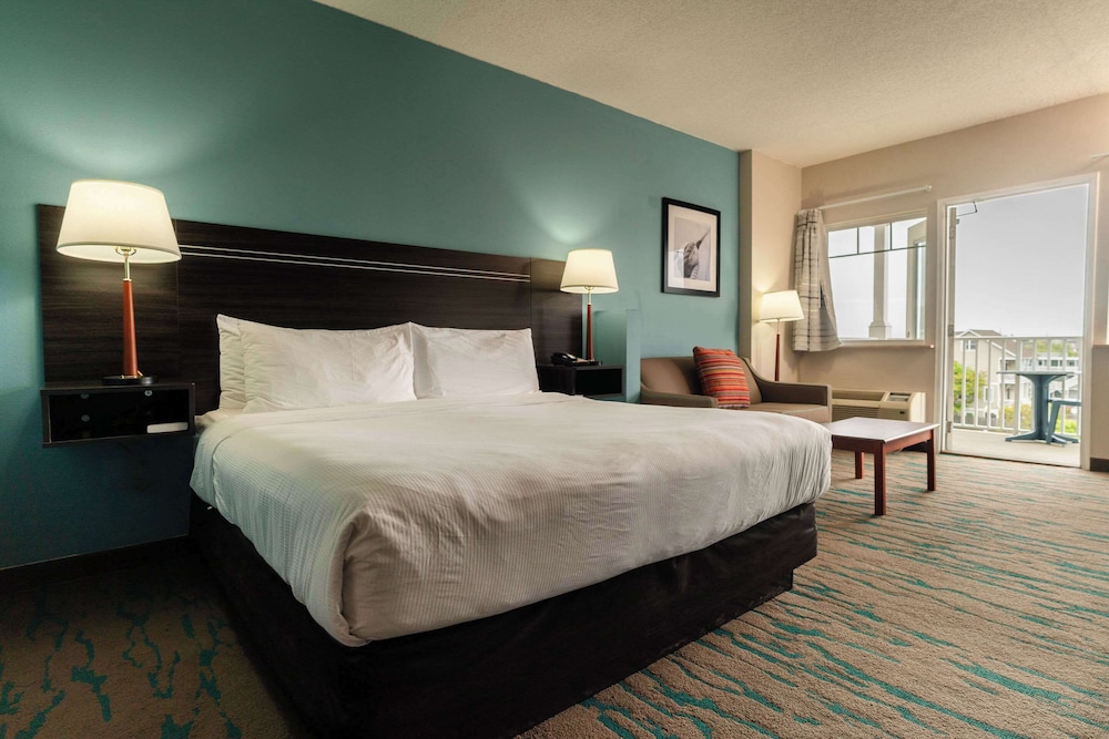 Suite, 1 King Bed with Sofa bed photo 1