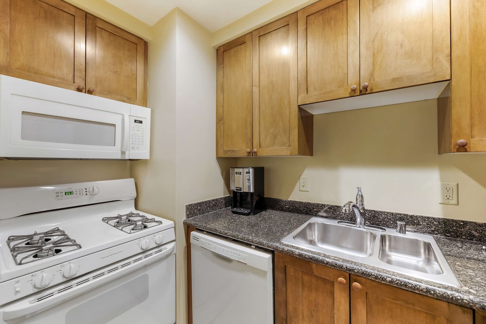 1 Bedroom 1 King Suite With Sofabed - Photo 3