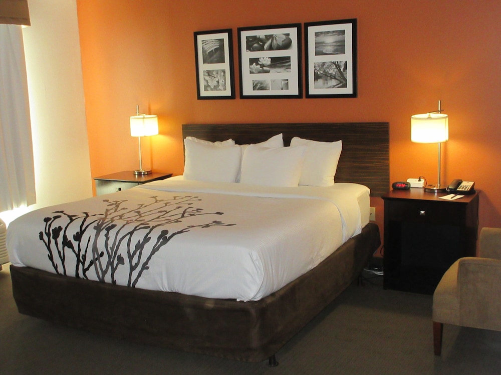 Standard Room, 1 King Bed, Non Smoking - Photo 2