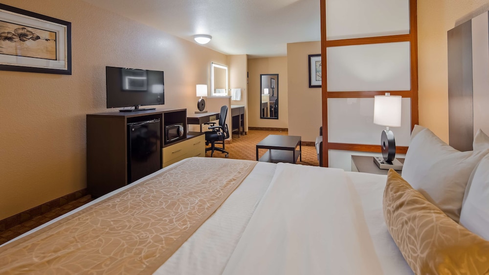 Standard Room, 1 King Bed, Non Smoking, Refrigerator & Microwave (Pet Friendly) - Photo 1