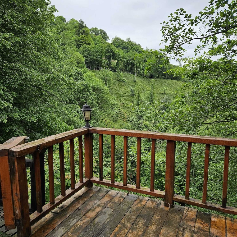 Panoramic Bungalow, Mountain View photo 3