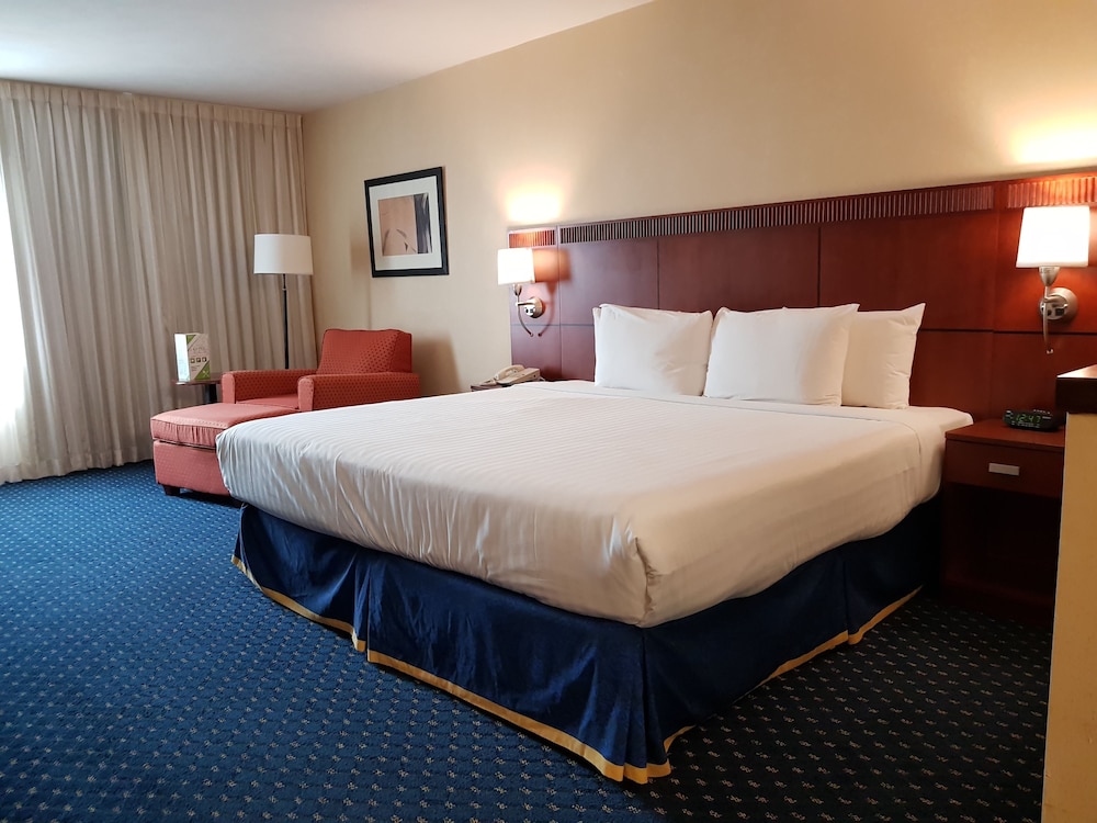 Suite, 1 Bedroom - Photo 2