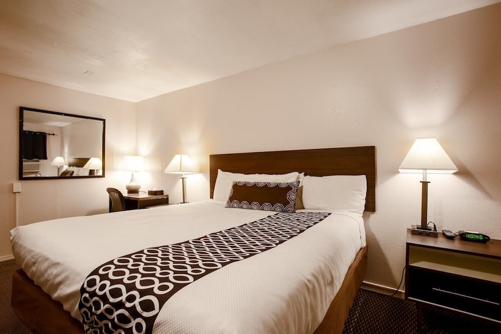 Deluxe Single Room, 1 King Bed, Non Smoking photo 1