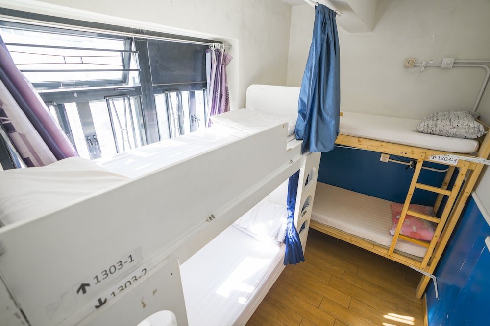 Standard Shared Dormitory photo 3