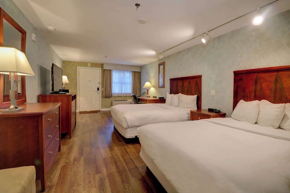 Presidential Room with 2 Queen Beds Pet-Friendly