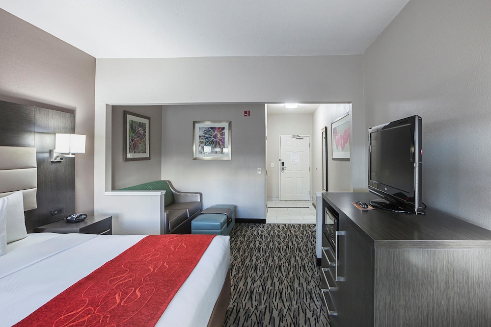 Suite, 1 King Bed with Sofa bed, Non Smoking - Photo 1