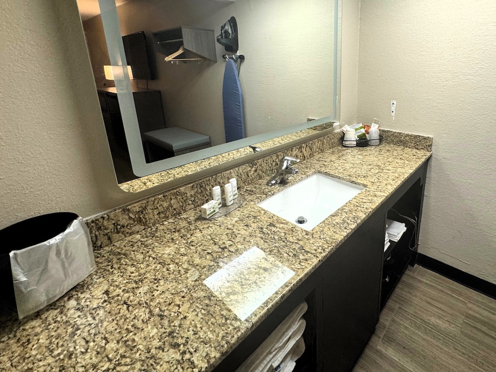 Room, 1 King Bed, Accessible, Non Smoking (Mobility, Roll-in Shower) photo 2