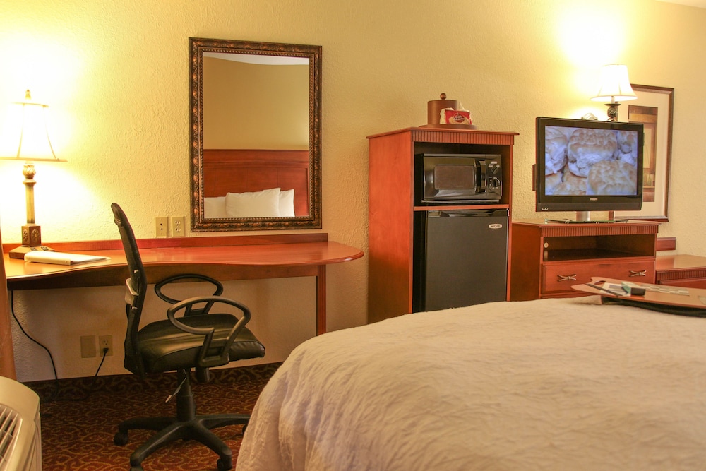 Room, 1 King Bed, Accessible - Photo 2