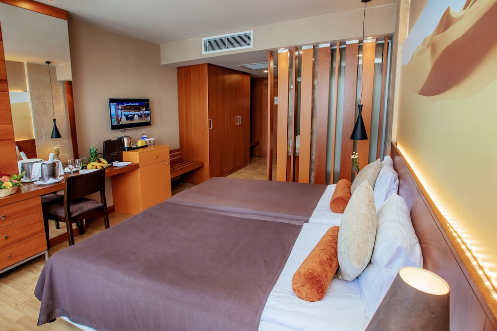 Standard Room without Balcony photo 3