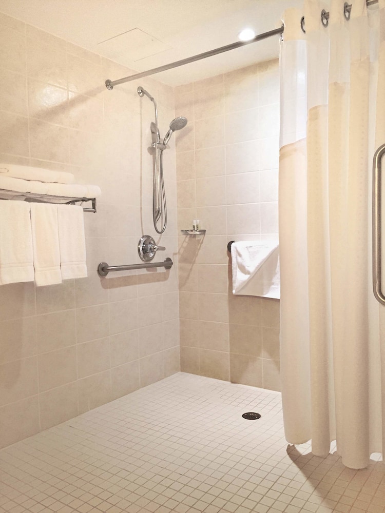 Standard Room, 1 King Bed, Accessible (Mobility, Roll-In Shower) thumbnail 5