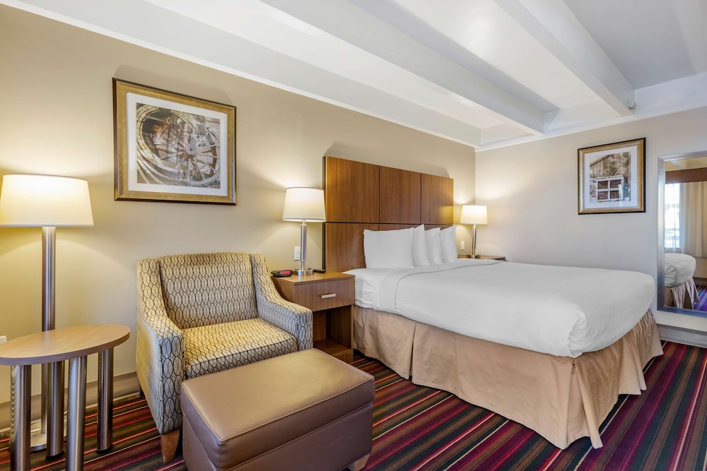 Standard Room, 1 King Bed, Accessible, Non Smoking photo 3