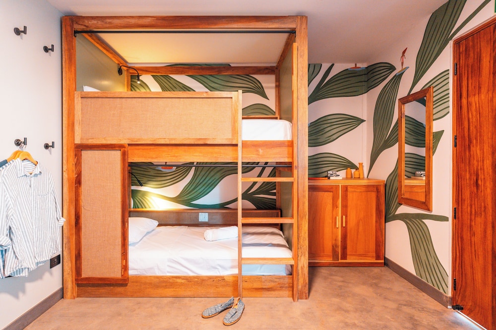 Premium 4-Bed Dorm photo 1