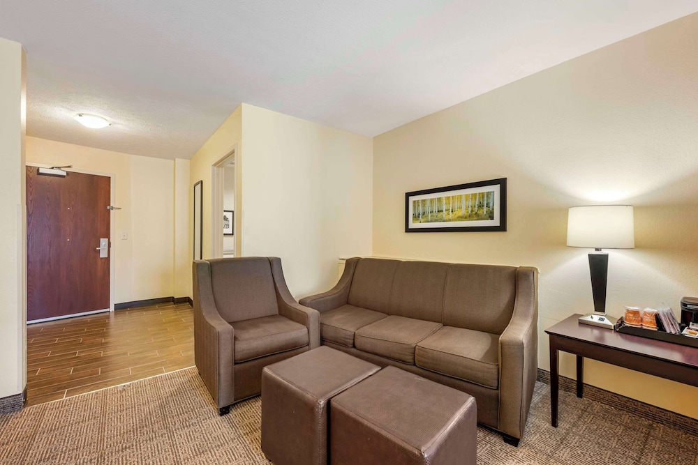 Comfort Suite, 1 King Bed with Sofa bed, Non Smoking - Photo 4