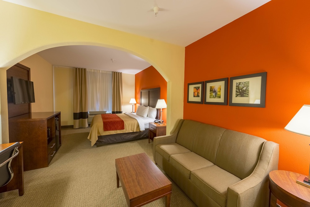Suite, 1 King Bed - Photo 6