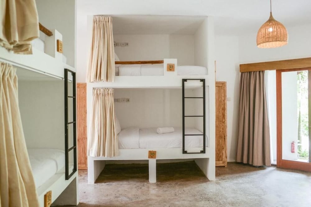 Deluxe Shared Dormitory photo 2