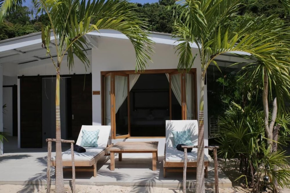 Coconut Palm - Seaview photo 3