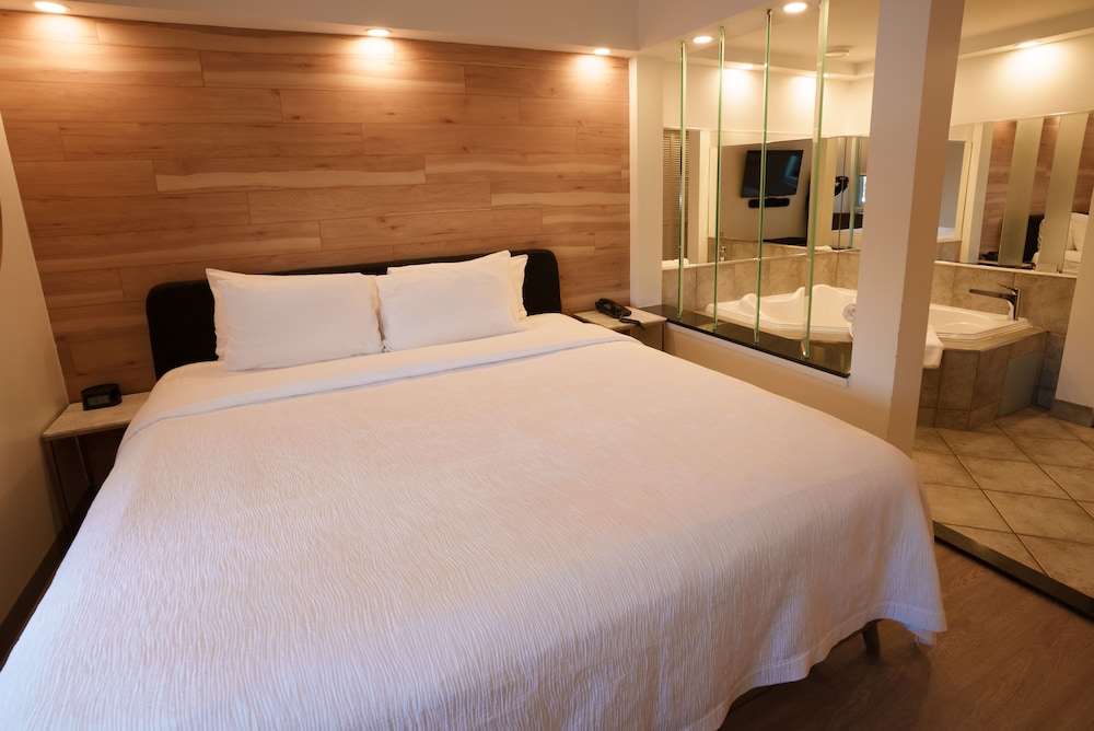 Junior Room, 1 Bedroom