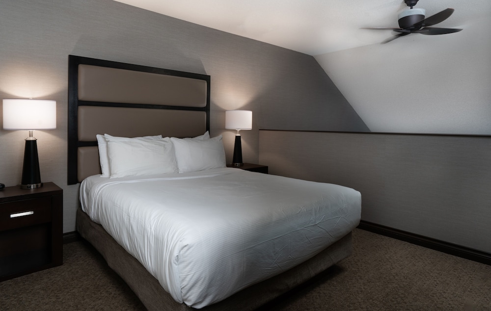 Loft (Suite) - Photo 2