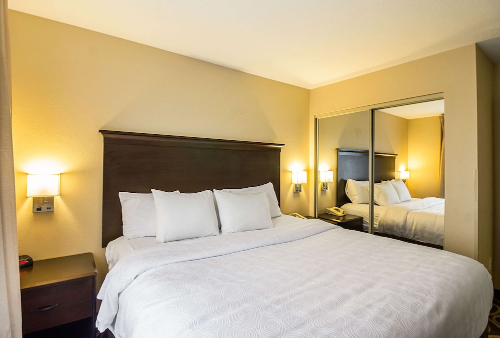 Suite, Separate Bedroom with 1 King Bed, Kitchen and Sofabed, Non Smoking photo 2