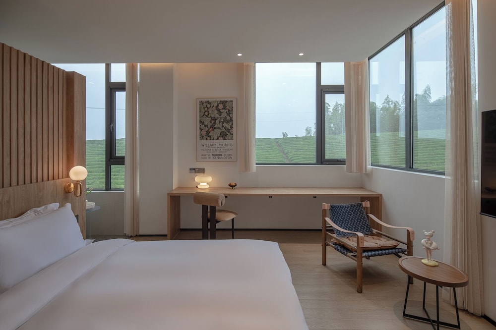 Basic Double Room, Mountain View