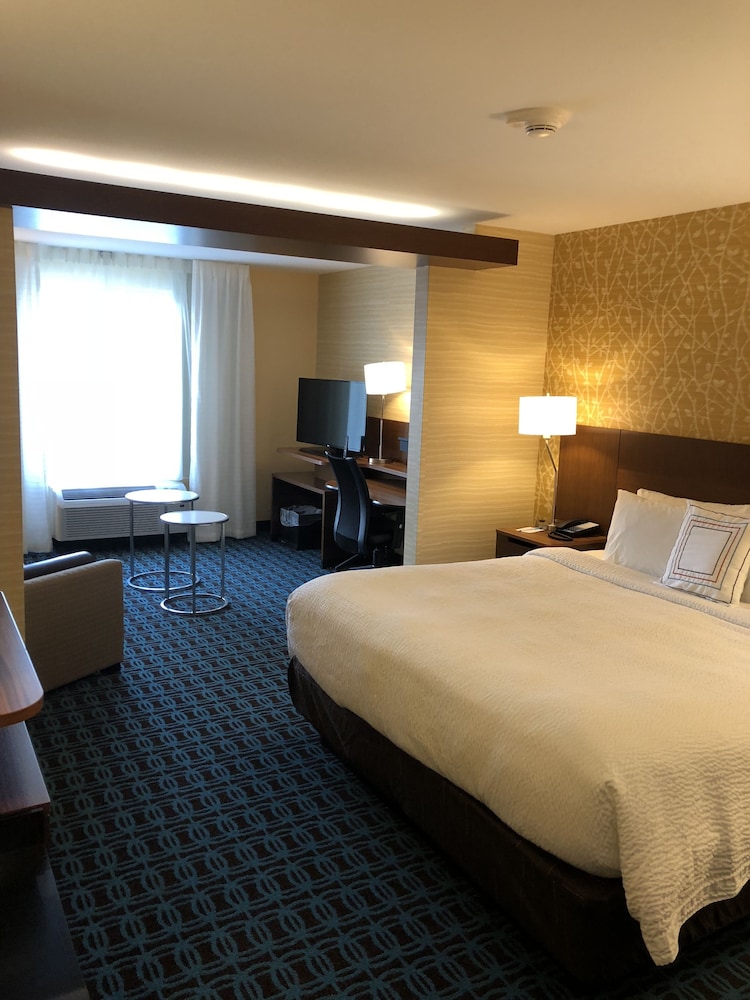 Suite, 1 King Bed with Sofa bed