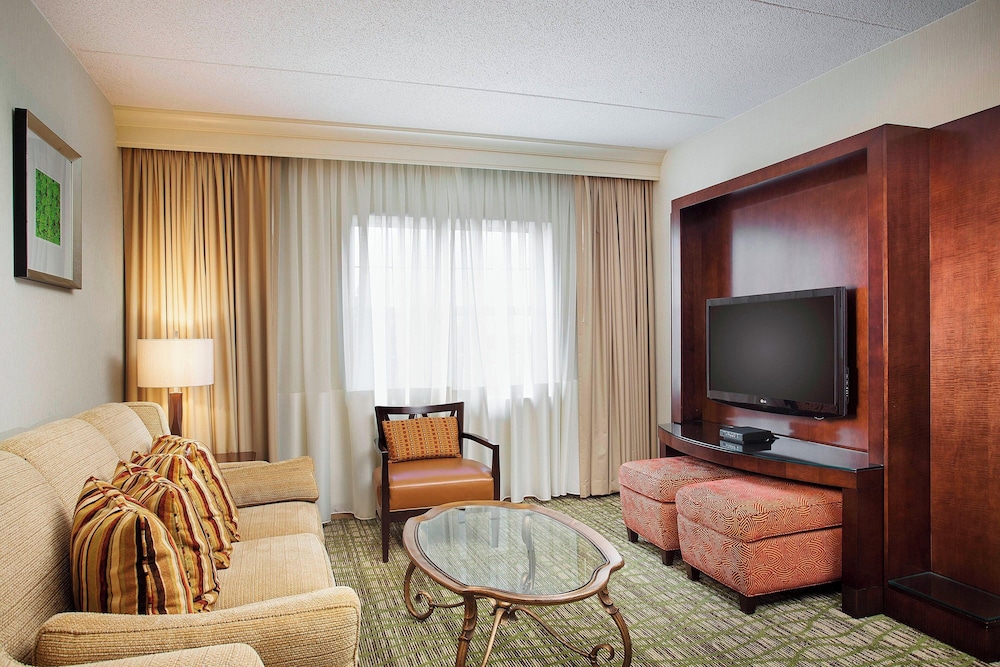 Executive Suite, 1 King Bed with Sofa bed