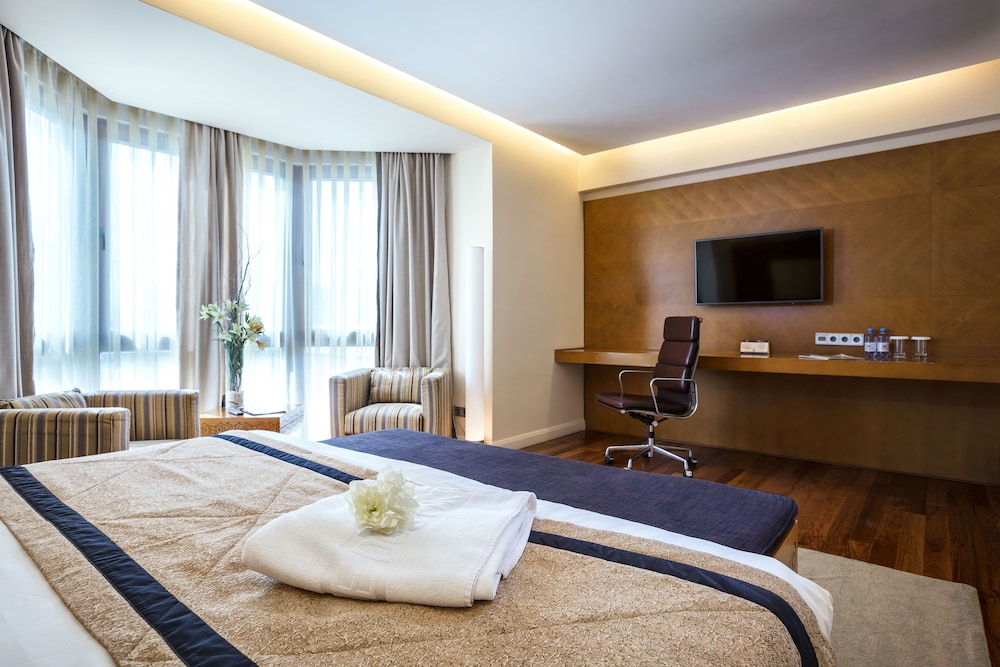 Deluxe Room photo 3