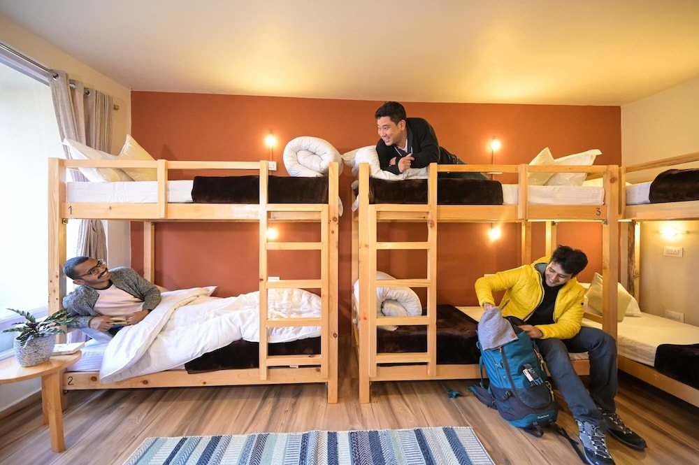 8 Bed Mixed Dorm photo 3