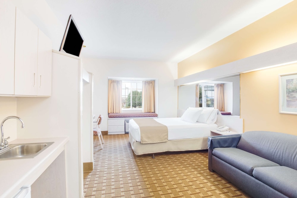 Standard Room, 1 Queen Bed, Accessible, Refrigerator & Microwave (Walk-in Shower;with Sofabed) - Photo 1