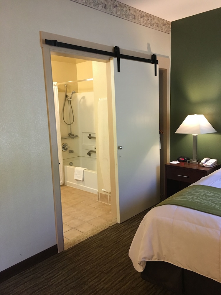 Suite, 1 Queen Bed, Accessible, Non Smoking - Photo 4