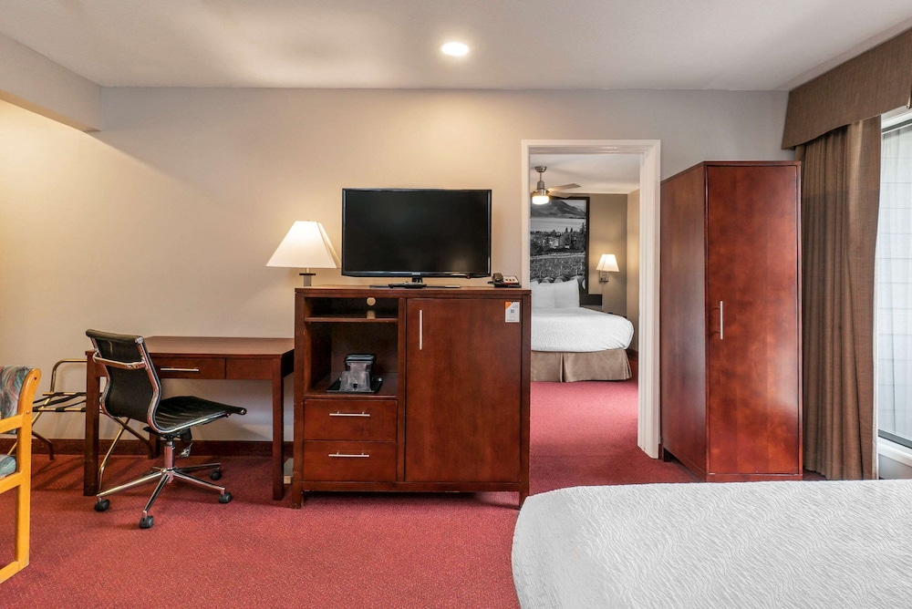 Suite, Multiple Beds, Non Smoking (No Pets) - Photo 4