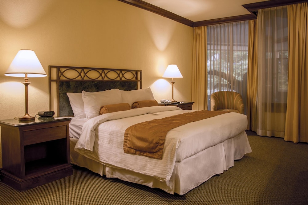 Junior Suite, 1 King Bed - Photo 5