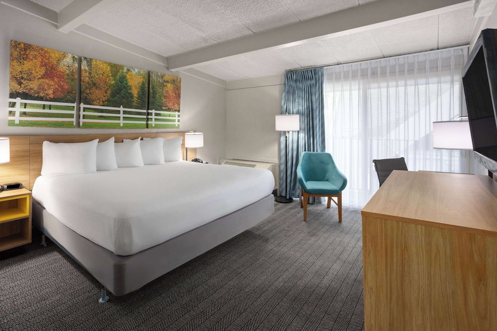 Room, 1 King Bed, Accessible photo 2