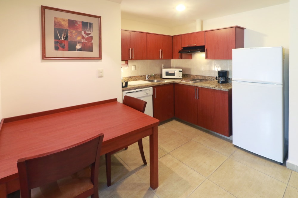 Studio Suite, 1 King Bed, Accessible, Kitchen - Photo 9