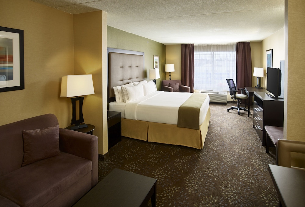 Suite, 1 King Bed with Sofa bed