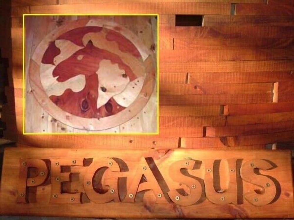 Pegasus Treehouse photo 3