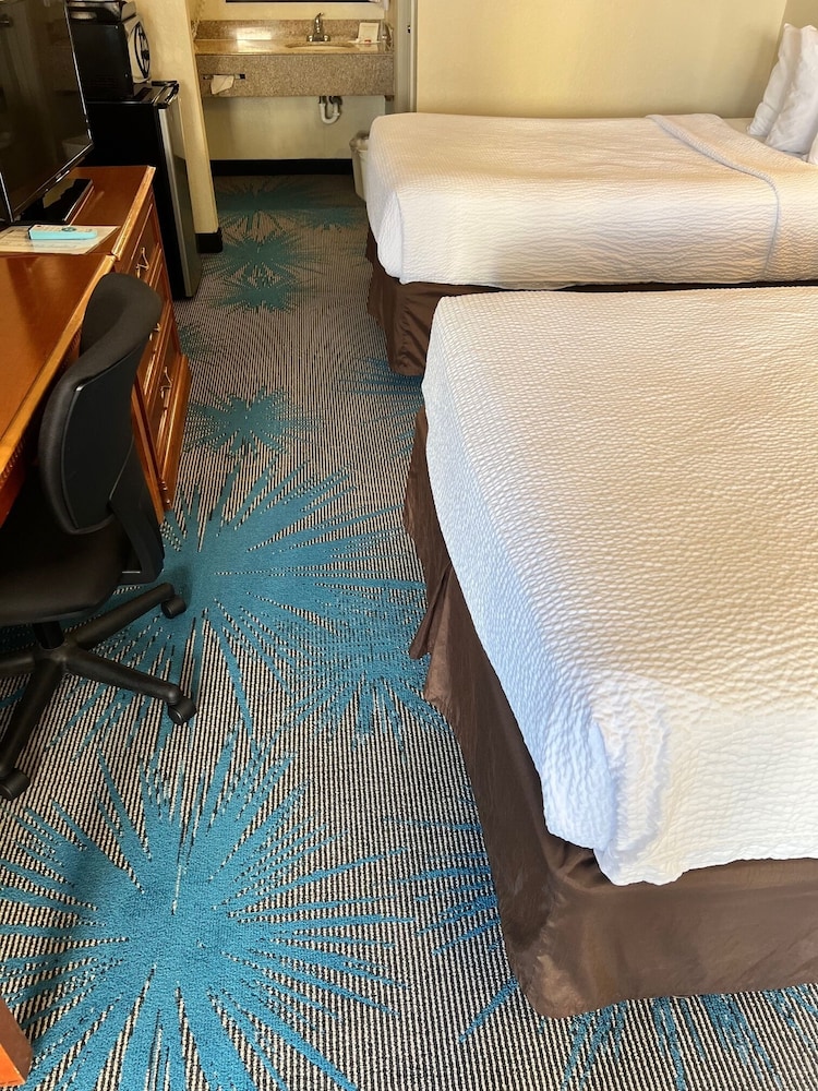 Double Room, 2 Double Beds - Photo 10