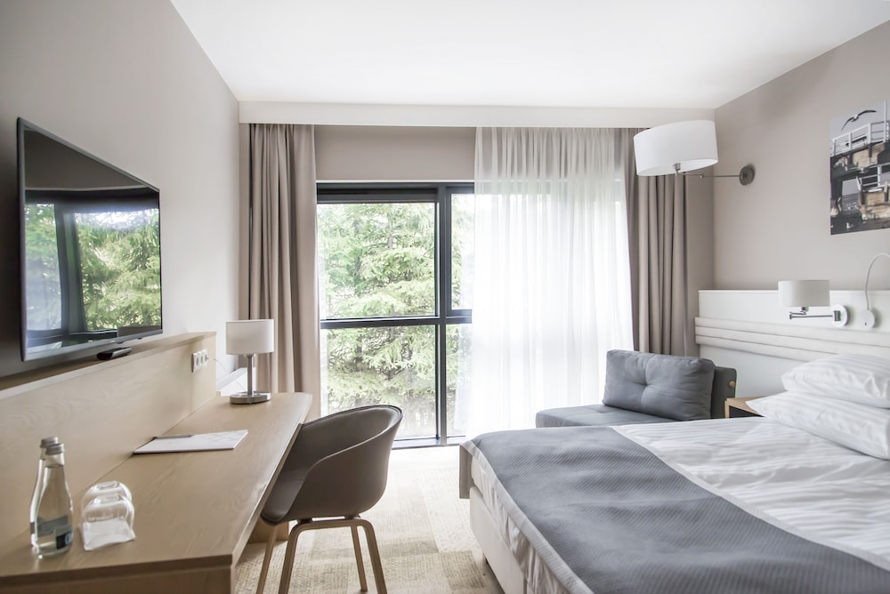 Comfort Single Room