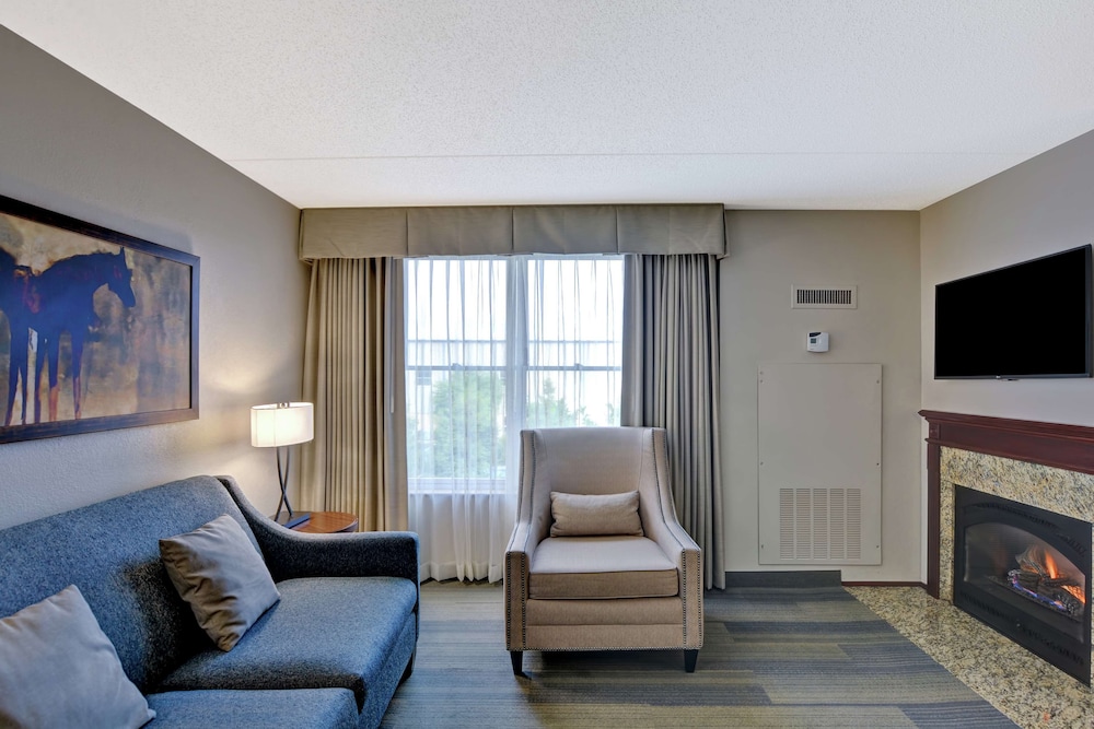 Premium Suite, 1 King Bed, Fireplace photo 1