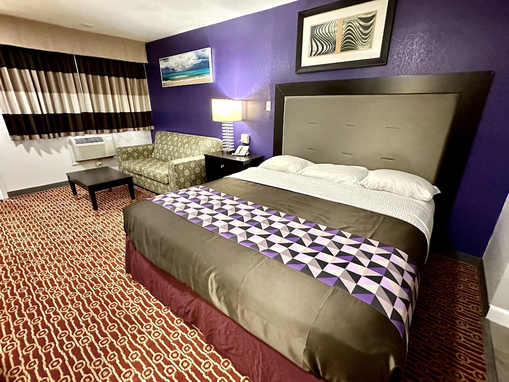 Basic Studio Suite photo 1