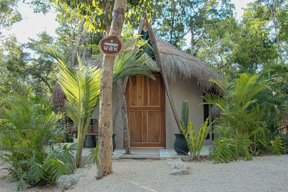 Nest Room - Photo 8