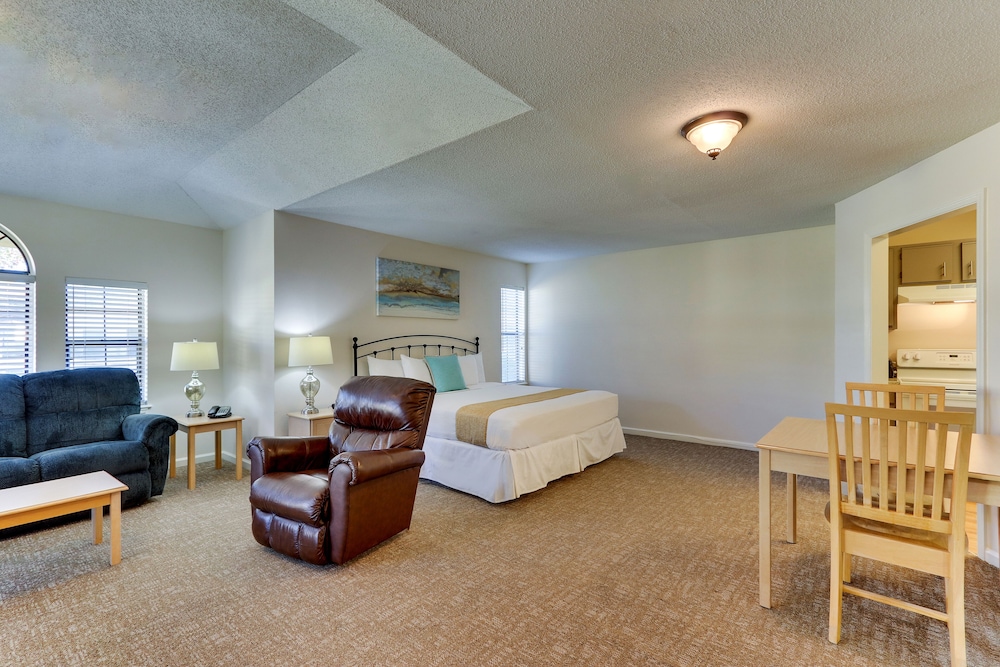 Studio Suite, 1 King Bed photo 2