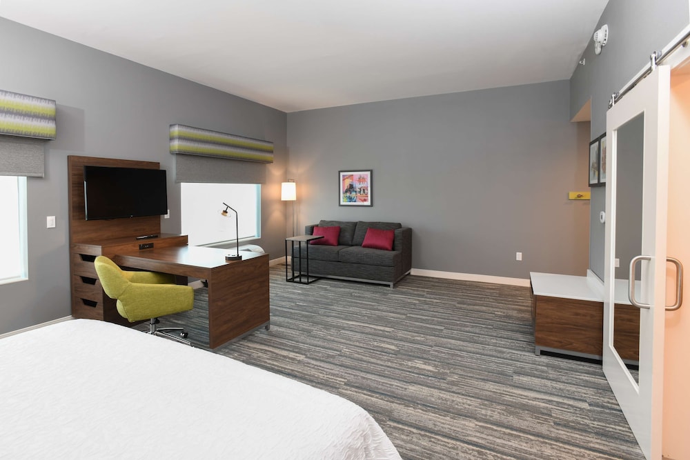 Suite, 1 King Bed, Accessible - Photo 4