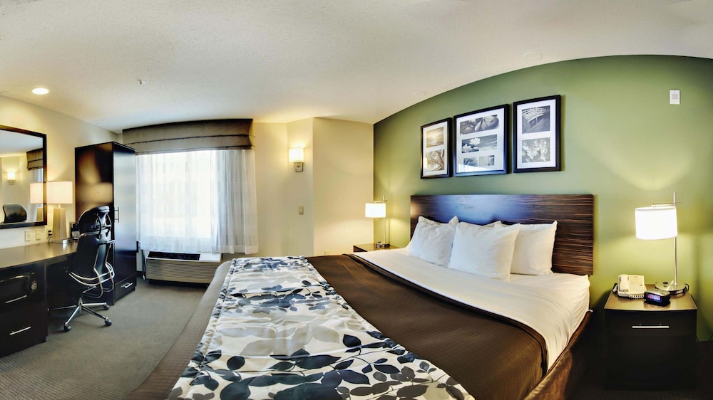Suite, 1 King Bed, Accessible, Non Smoking (Mobility, Roll-In Shower) - Photo 2