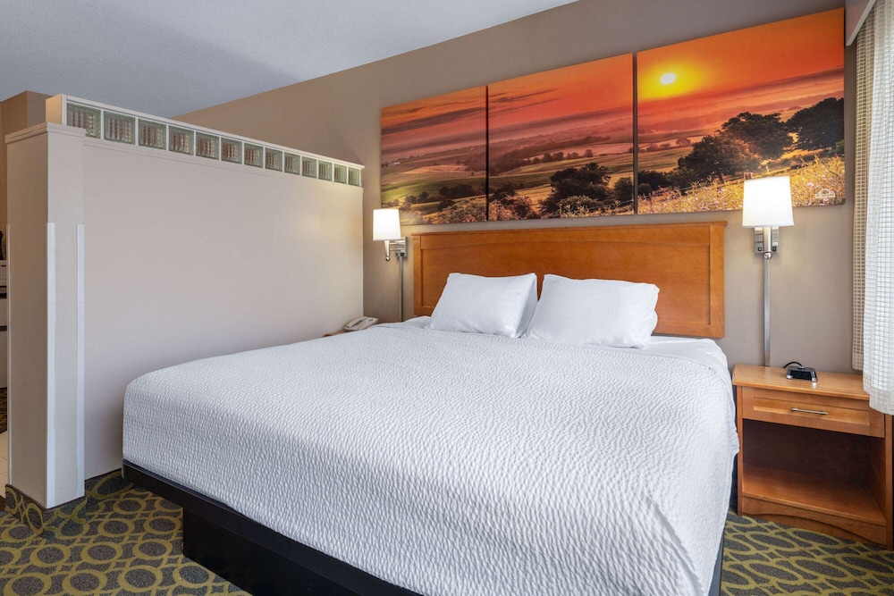 Deluxe Suite, 1 King Bed, Non Smoking - Photo 5