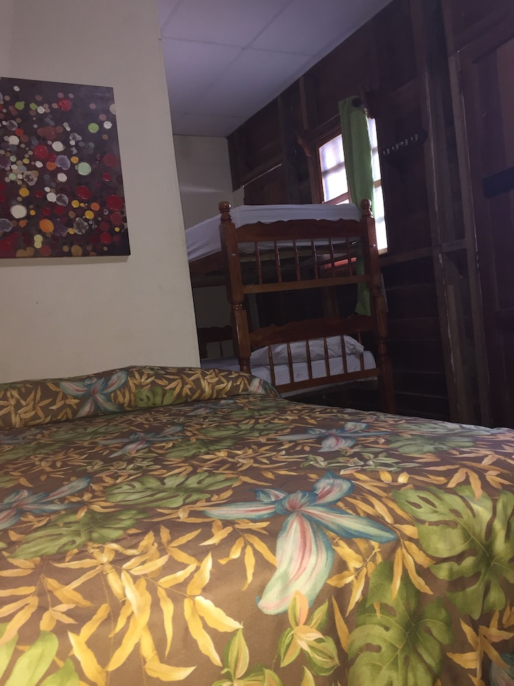 Shared Dormitory, Multiple Beds photo 1