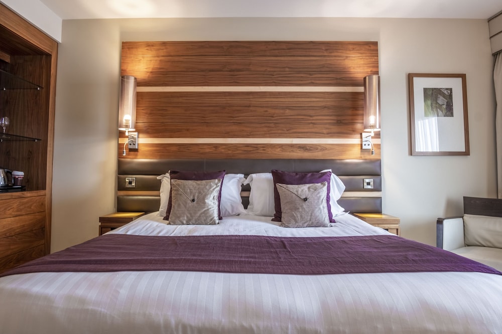 Double Room Single Use, 1 King Bed